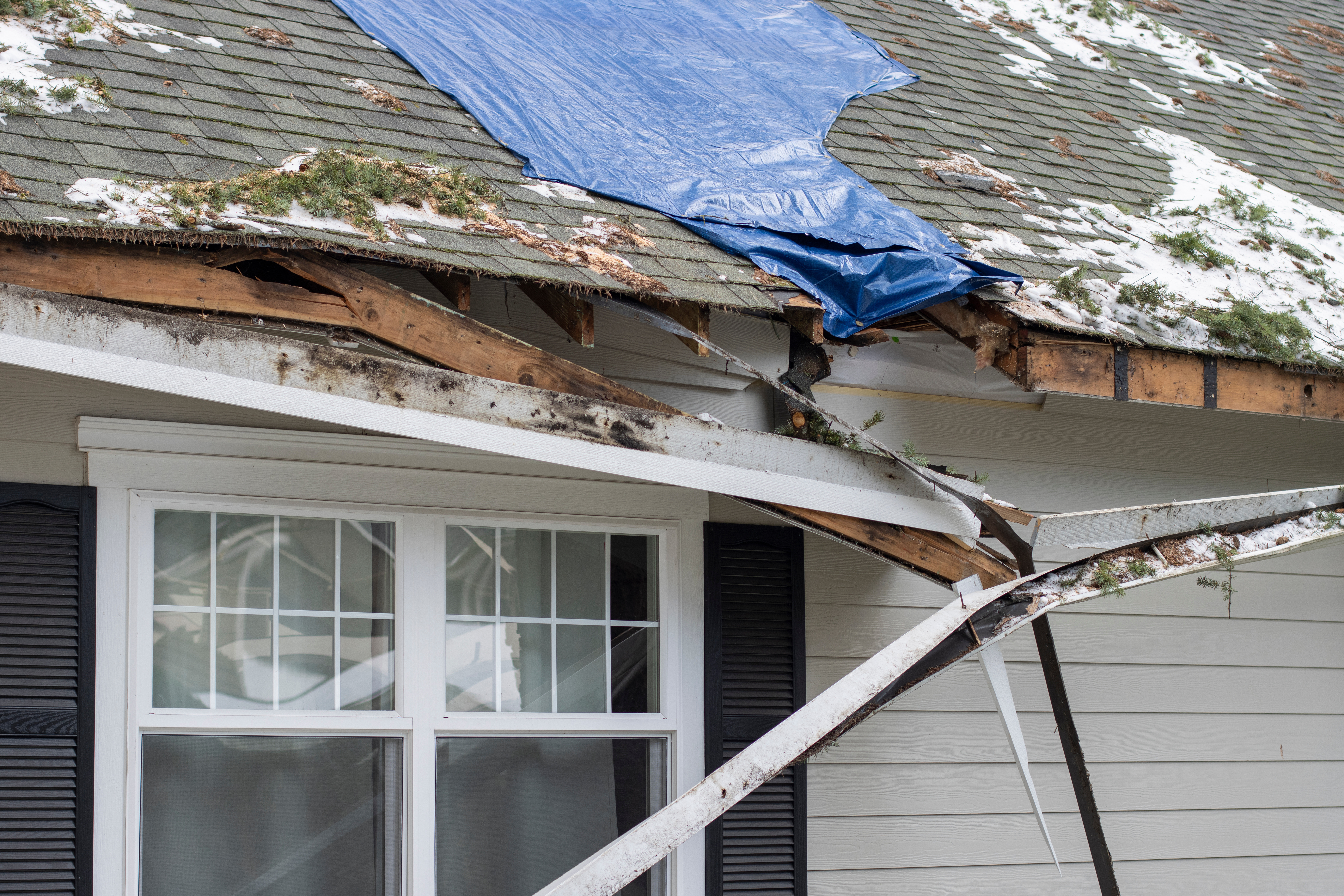Filing a Property Damage Claim in Hawai'i: Tips for Success 