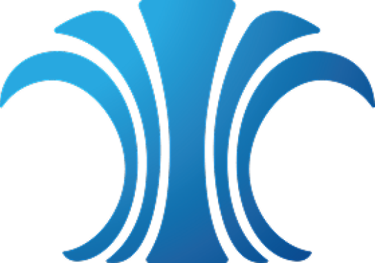 The Island Insurance Foundation